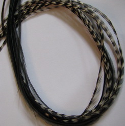 ���� Dry Fly (��� ����� ���) 10 �� Black/Gold/Grizzly Var.  ������ � 14